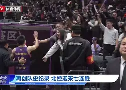 欧博官网APP-科维托娃与莱巴金娜比赛视频回放