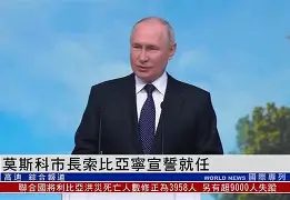 深圳市比亚的工厂